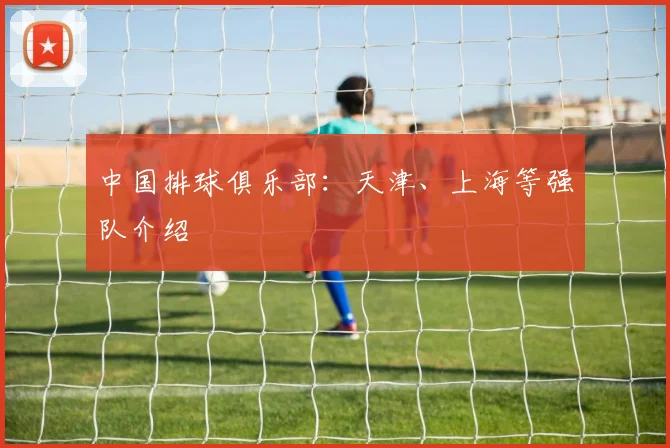 中国排球俱乐部:天津、上海等强队介绍