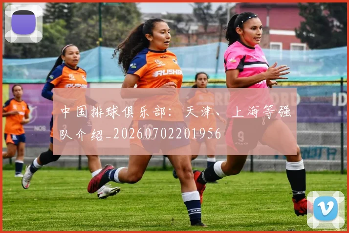 中国排球俱乐部:天津、上海等强队介绍_20260702201956